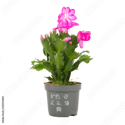 items on perfect white background