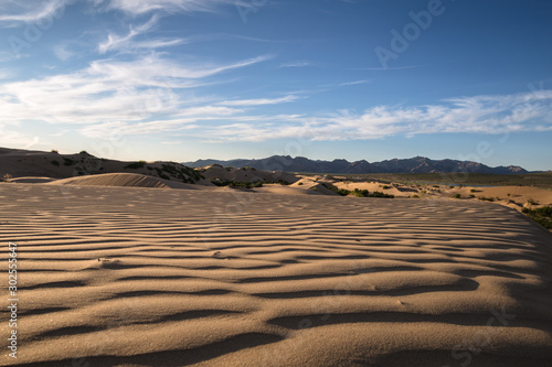 sand dunes in the desert