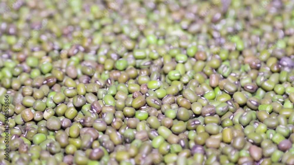 Video of flying green mung beans isolated. Selective focus. Video of flying green mung beans isolated. Selective focus.