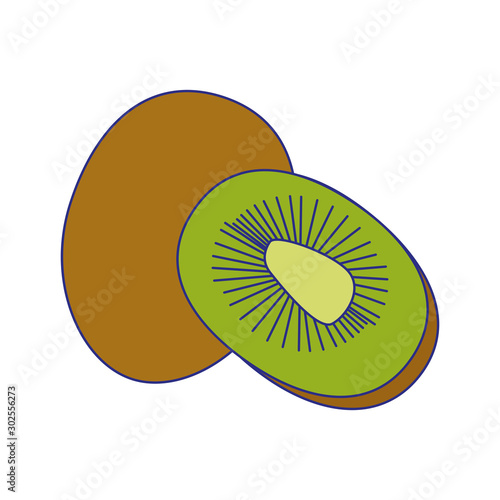 kiwi fruit icon, colorful design