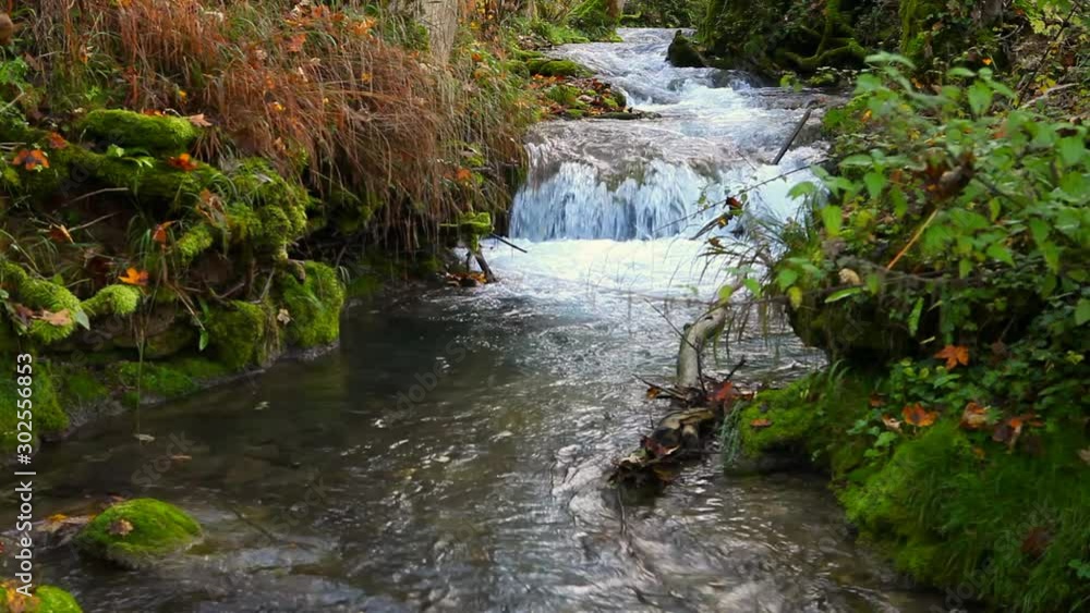 mountain stream in autumn forest woods at Urach schwäbische alb germany mountain stream in autumn forest woods at Urach schwäbische alb germany
