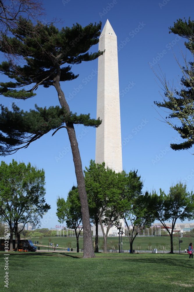 Washington Monument with pinetrees and clear blue sky