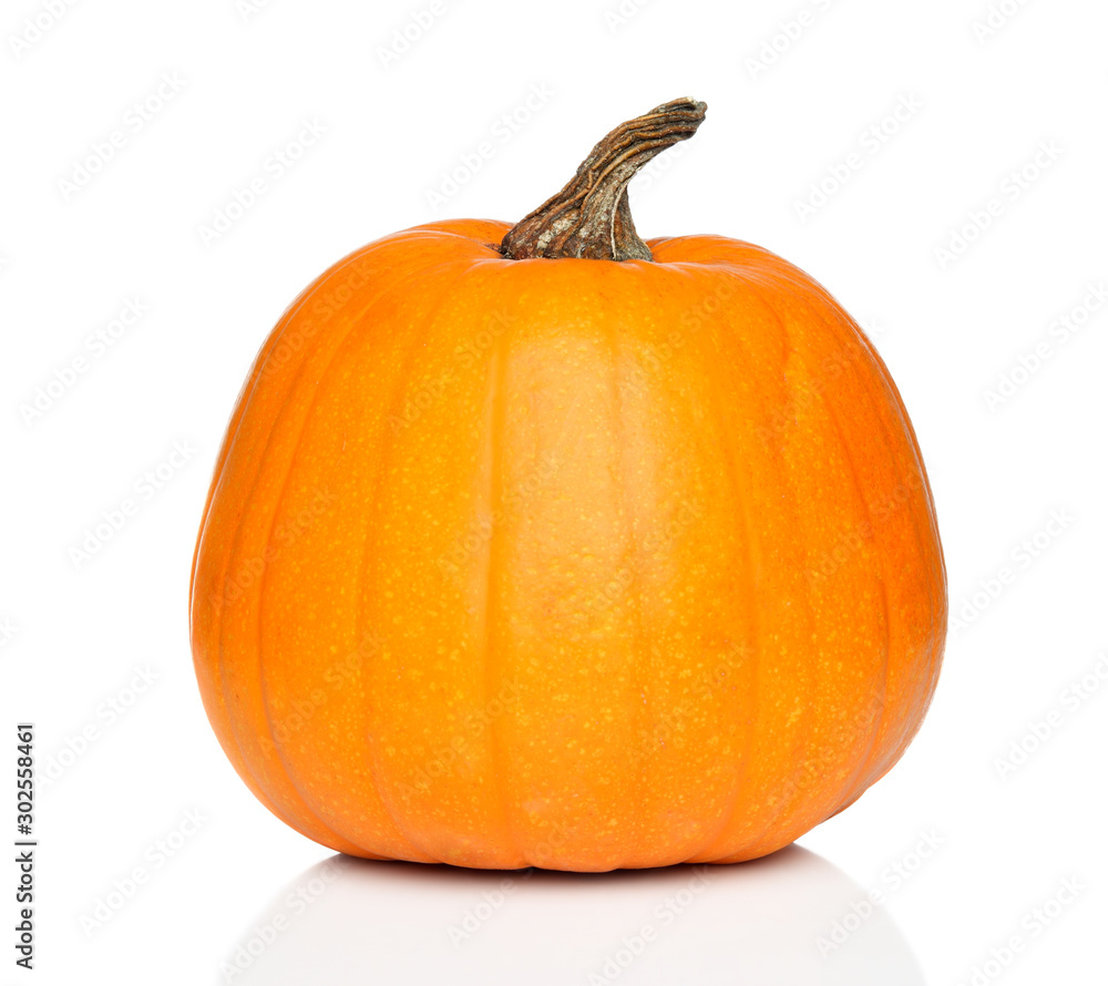 Obraz premium Pumpkin Close-up juicy, ripe