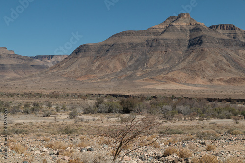 Shrubland in the namib desert, Namibia, Africa