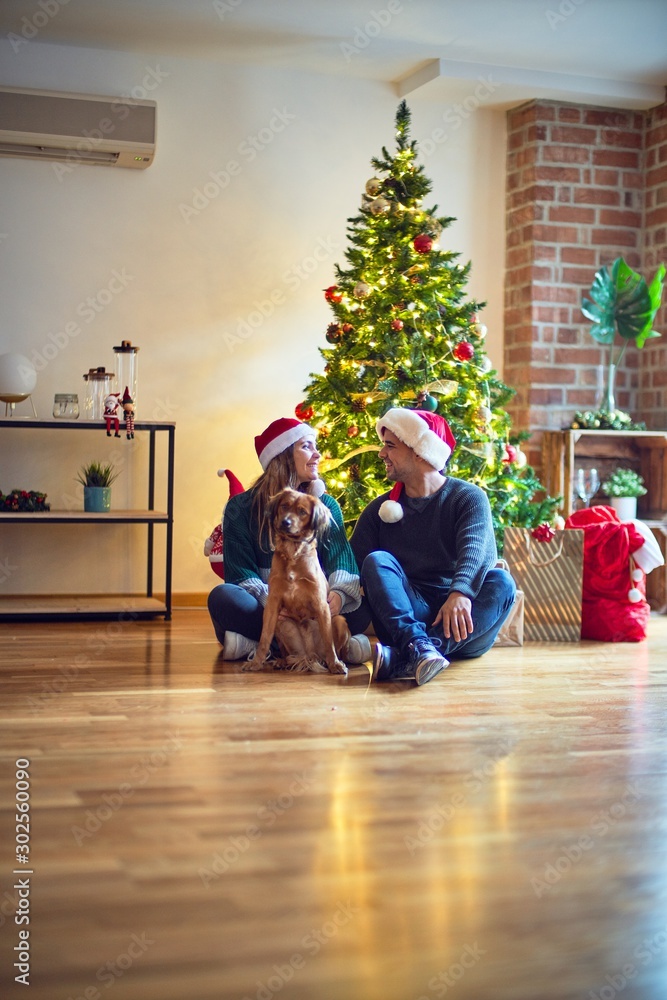 Young beautiful couple smiling happy and confident.. Sitting on the floor wearing santa claus hat hugging dog around christmas tree at home