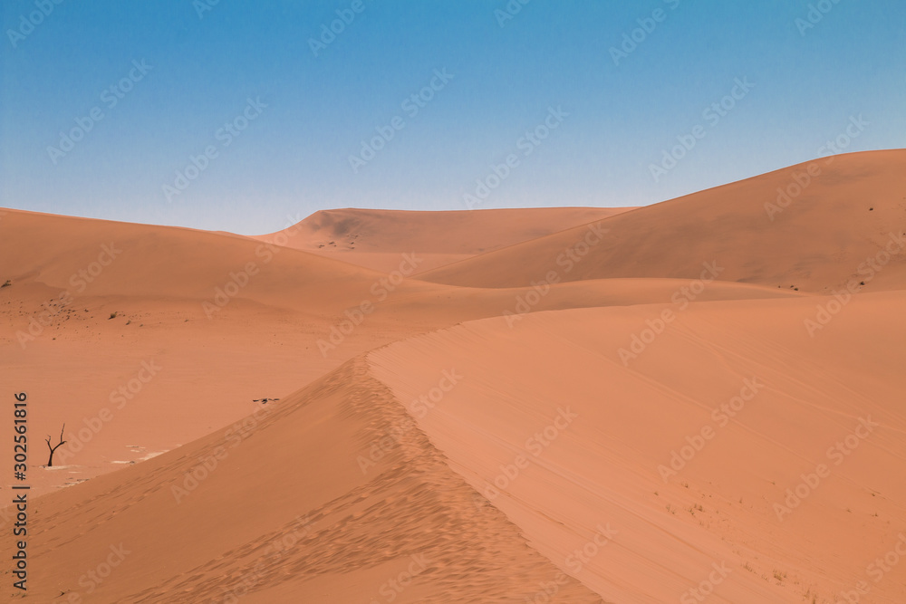 Sand dunes in Sossusvlei, Namib Desert, Namibia, Africa