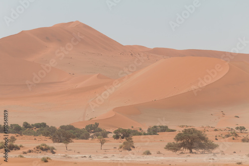 Sand dunes in Sossusvlei  Namib Desert  Namibia  Africa