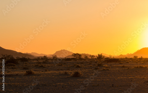 Sunset at the Namib desert plains  Namibia  Africa