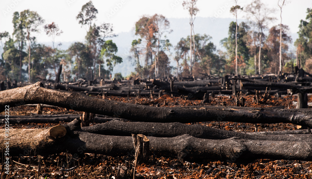 Black peaks and burns Caused by the destruction of human. Conservetive concept.select focus. Black peaks and burns Caused by the destruction of human. Conservetive concept.select focus.
