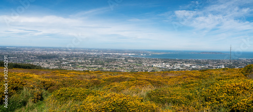 Stunning view of Dublin city and port from Ticknock, 3rock, Wicklow mountains. Yellow and green plants in foreground photo
