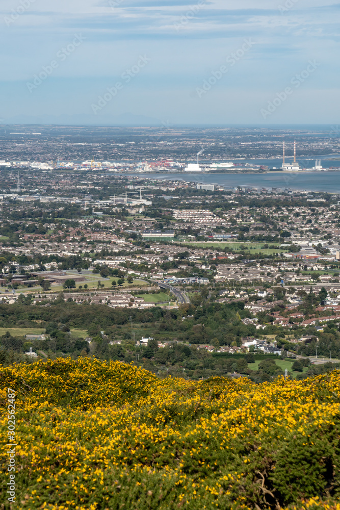 Obraz premium Stunning view of Dublin city and port from Ticknock, 3rock, Wicklow mountains. Yellow and green plants in foreground