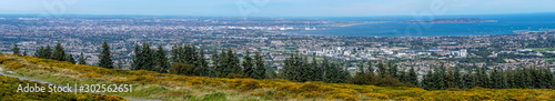 Stunning view of Dublin city and port from Ticknock, 3rock, Wicklow mountains. Yellow and green plants in foreground photo