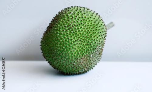 Seeded breadfruit or kluwih on white background.  photo