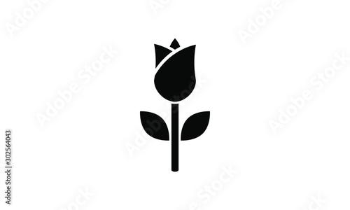 tulip icon vector  photo