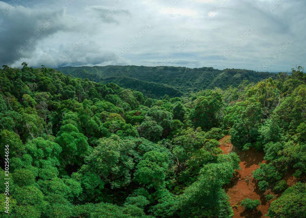 Fototapeta premium Aerial View Looking out Over a Mountainside Forest in Hawaii - on a Bright, Cloudy Day