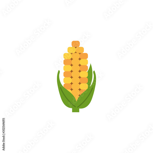 Isolated corn icon flat design