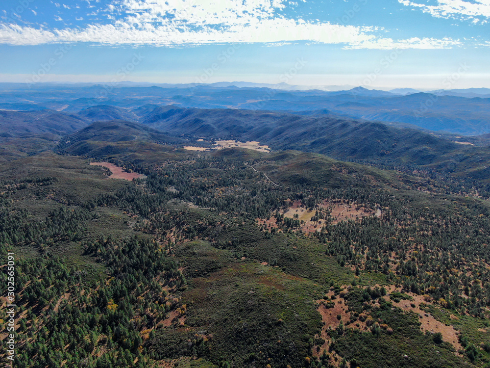 Aerial view of pine in Pine Valley during dry fall season, San Diego Country, California, USA