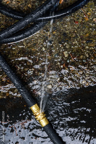Fototapeta Naklejka Na Ścianę i Meble -  Black rubber hose with brass fittings leaking a spray of water