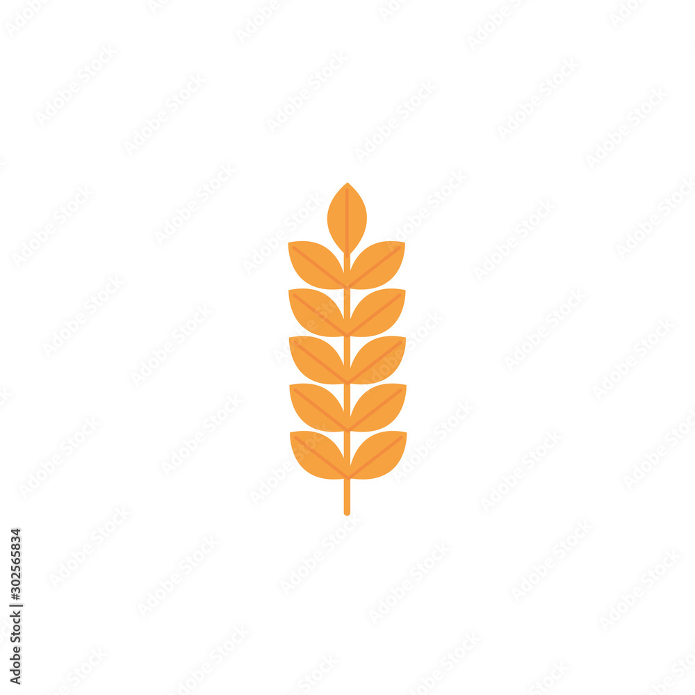 Isolated wheat icon flat design