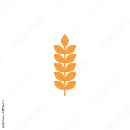 Isolated wheat icon flat design