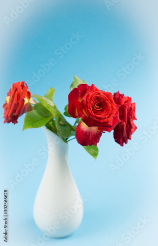 Wallpaper Mural Red roses close up in a glass vase on a blue background. Holiday card with red roses on Valentine's Day or March 8 with copy space. Torontodigital.ca