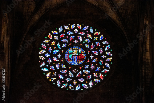 The stained glass rose window from Basilica of Santa Maria del Mar in Barcelona  Spain