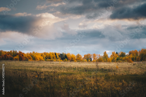 landscape
