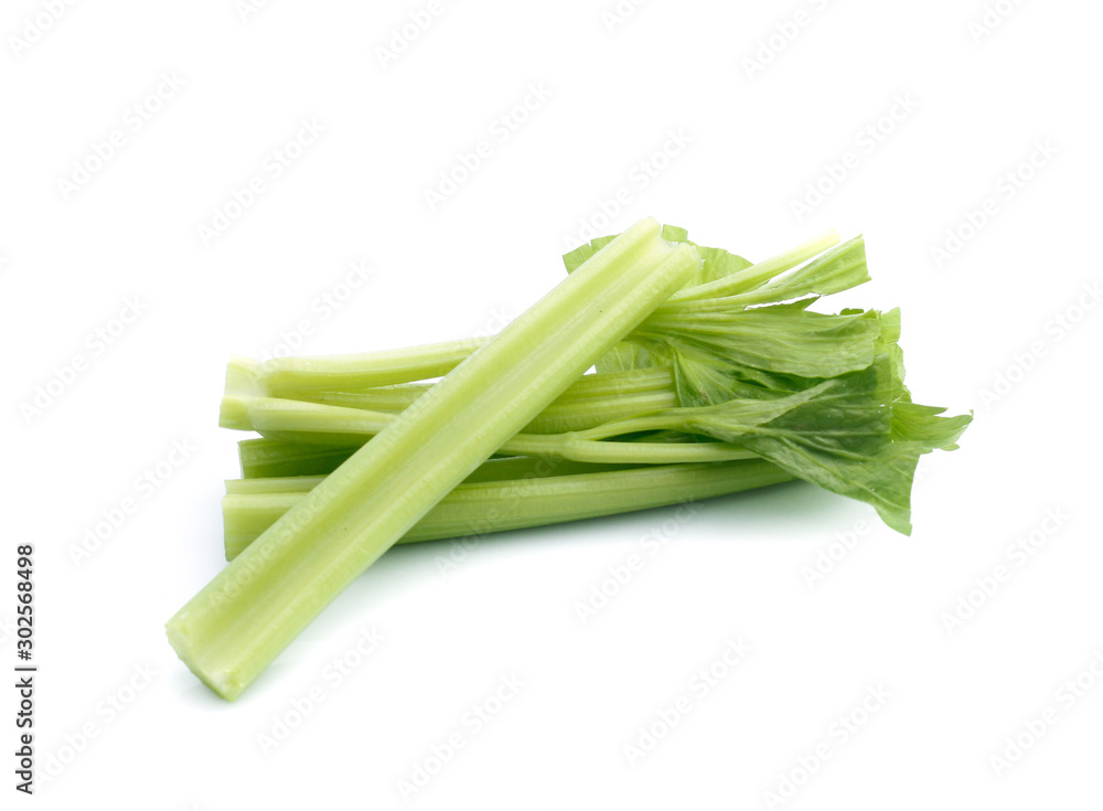 fresh celery isolated on white background fresh celery isolated on white background