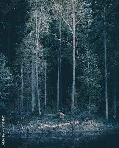 landscape
