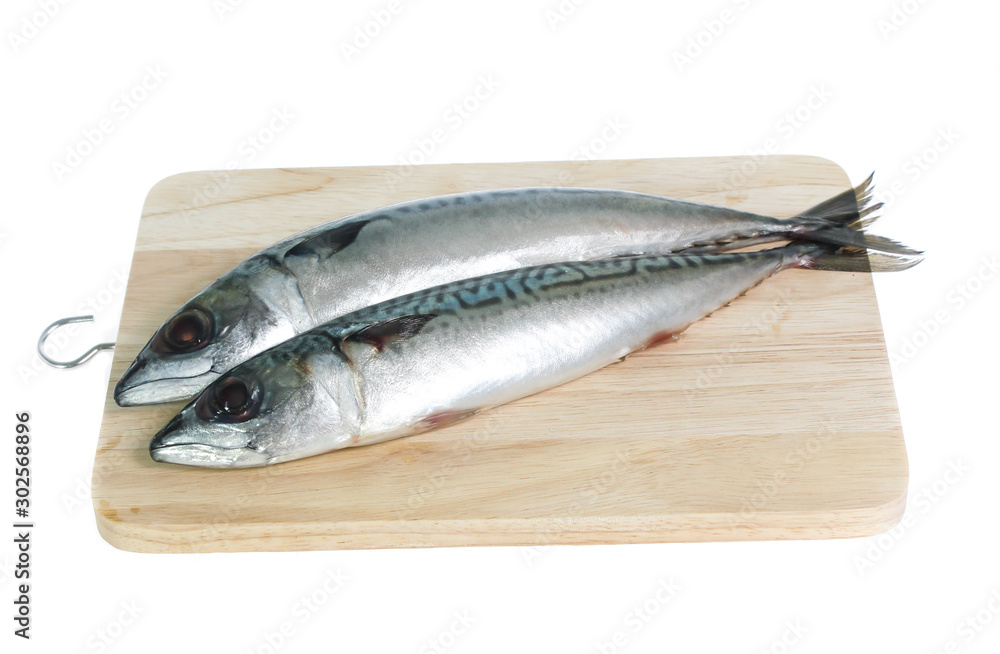 Fresh saba fish isolated on white background Fresh saba fish isolated on white background