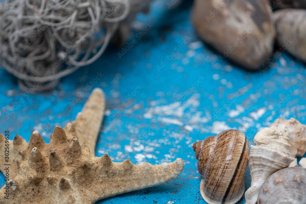 Starfish, rocks and seashells for fresh ornaments in summer Starfish, rocks and seashells for fresh ornaments in summer