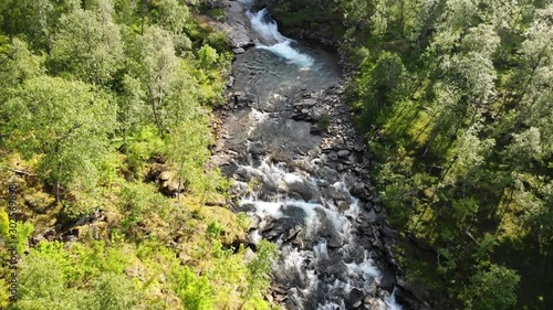 Mountain river in forest