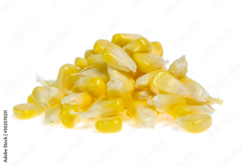 An ear of corn isolated on a white background An ear of corn isolated on a white background