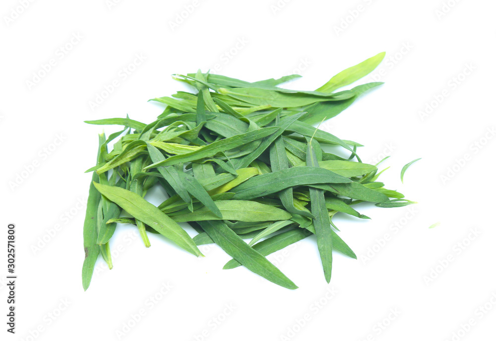 Tarragon herbs isolated on white Tarragon herbs isolated on white