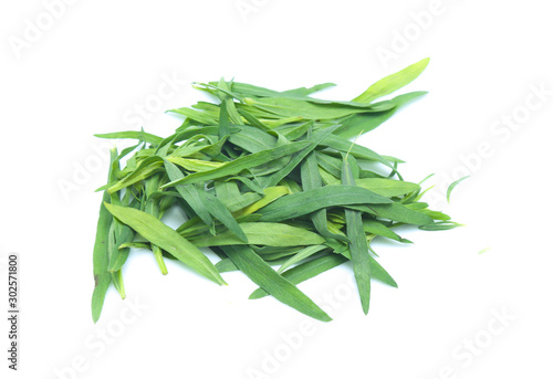 Tarragon herbs isolated on white