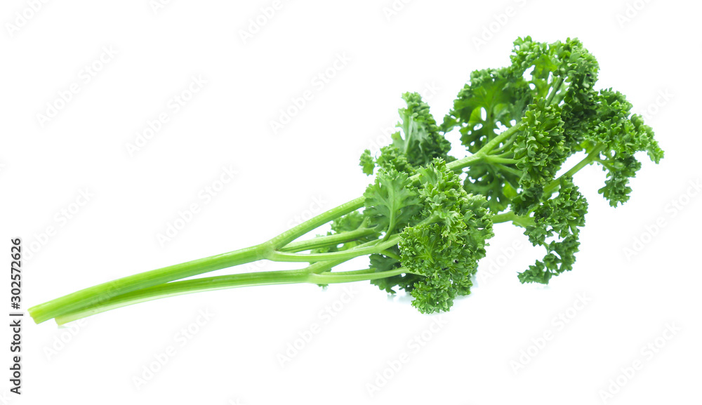 Parsley isolated on white background Parsley isolated on white background