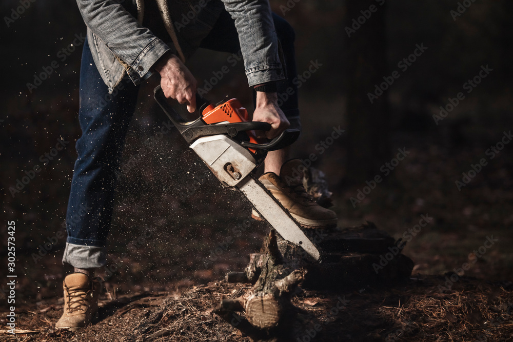 Lumberman work with chainsaw  sawing a tree in the forest. Lifestyle work.  Male hands with a saw in the woods. Detail . Hard work with a saw.