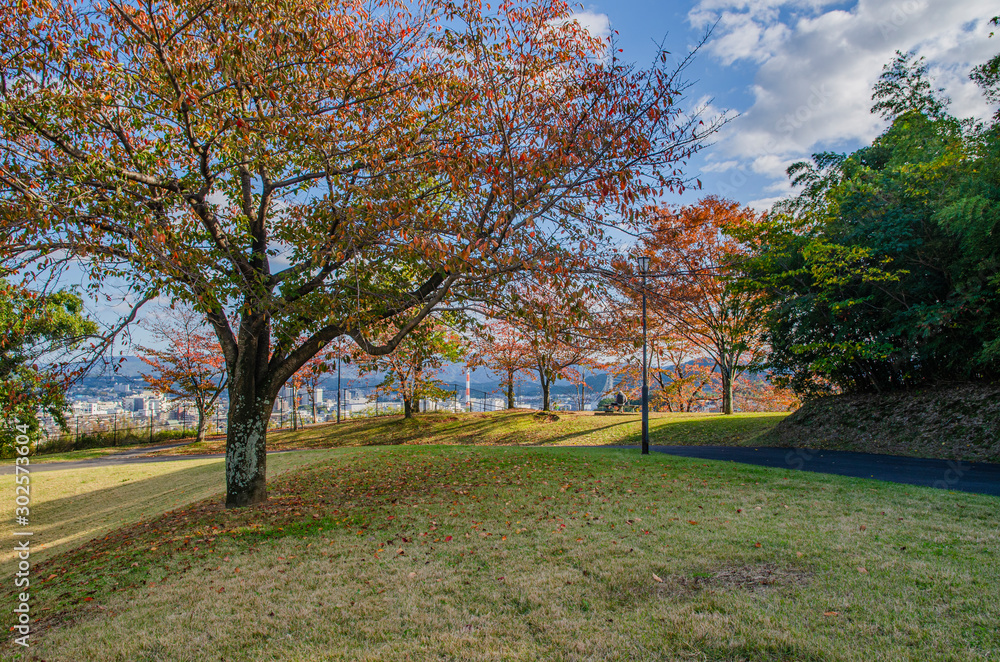 Naklejka premium 滋賀 茶臼山公園
