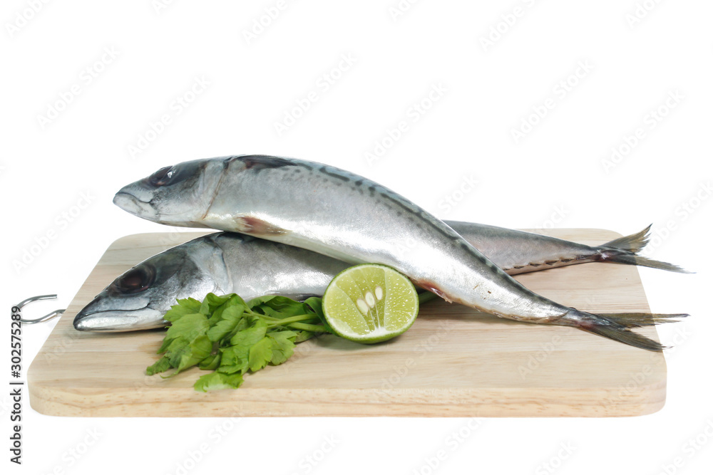 Fresh saba fish isolated on white background Fresh saba fish isolated on white background
