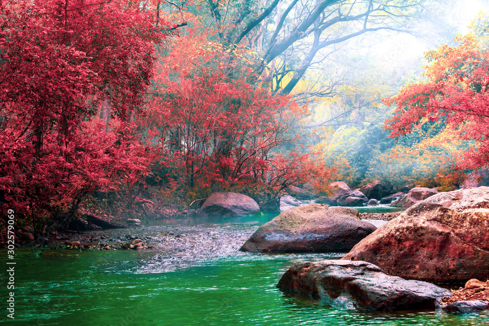 Hot Springs Onsen Natural Bath Surrounded by red-yellow leaves. In fall leaves fall .Waterfall among many foliage, In the fall leaves Leaf color change. Hot Springs Onsen Natural Bath Surrounded by red-yellow leaves. In fall leaves fall .Waterfall among many foliage, In the fall leaves Leaf color change.