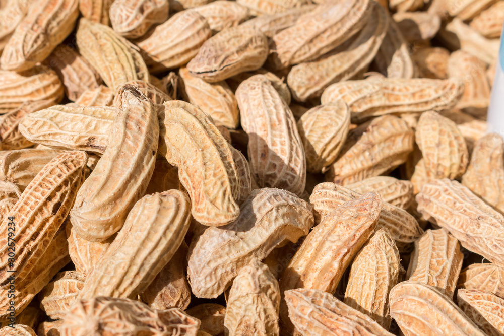 Close up of Raw peanuts in shells Close up of Raw peanuts in shells