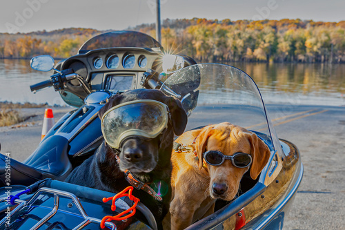 Foto "Sidecar Buddies"