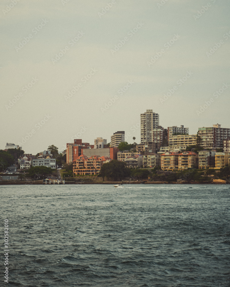 Fototapeta premium Sydney Harbour