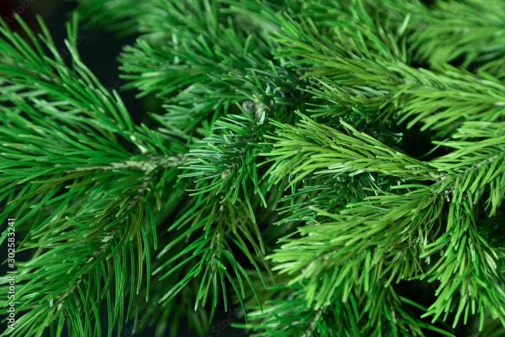 Christmas tree background. Spruce branches shot with shallow depth of field. Christmas tree background. Spruce branches shot with shallow depth of field.