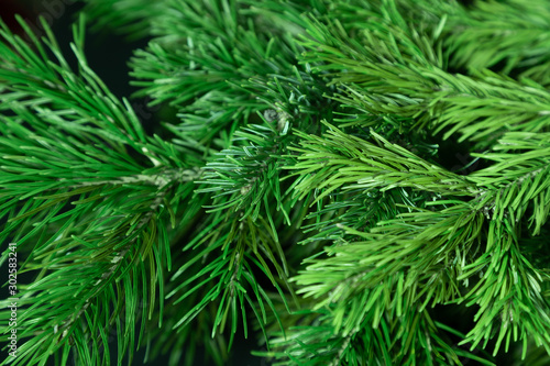 Christmas tree background. Spruce branches shot with shallow depth of field.