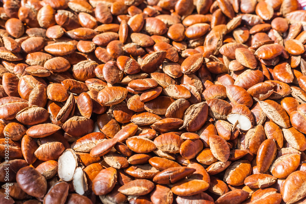 Barking deer's mango, Wild almond Barking deer's mango, Wild almond