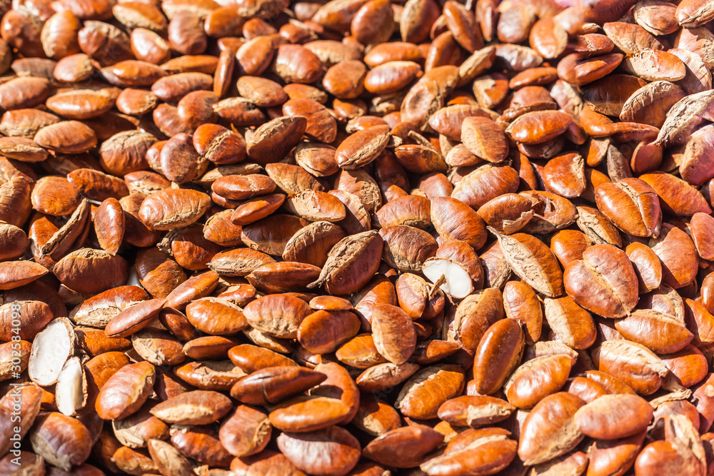 Barking deer's mango, Wild almond