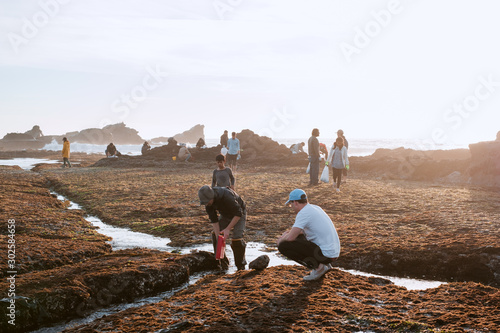 Pacific Tidepools