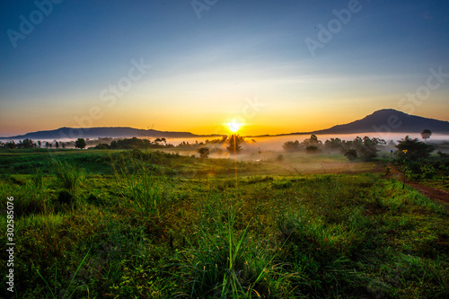 The blurry background of the fog that covers trees, roads, grass, in the morning is naturally beautiful, can be seen in the end of the rain, cold winter every year.