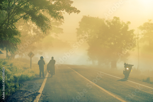 The blurry background of the fog that covers trees, roads, grass, in the morning is naturally beautiful, can be seen in the end of the rain, cold winter every year.